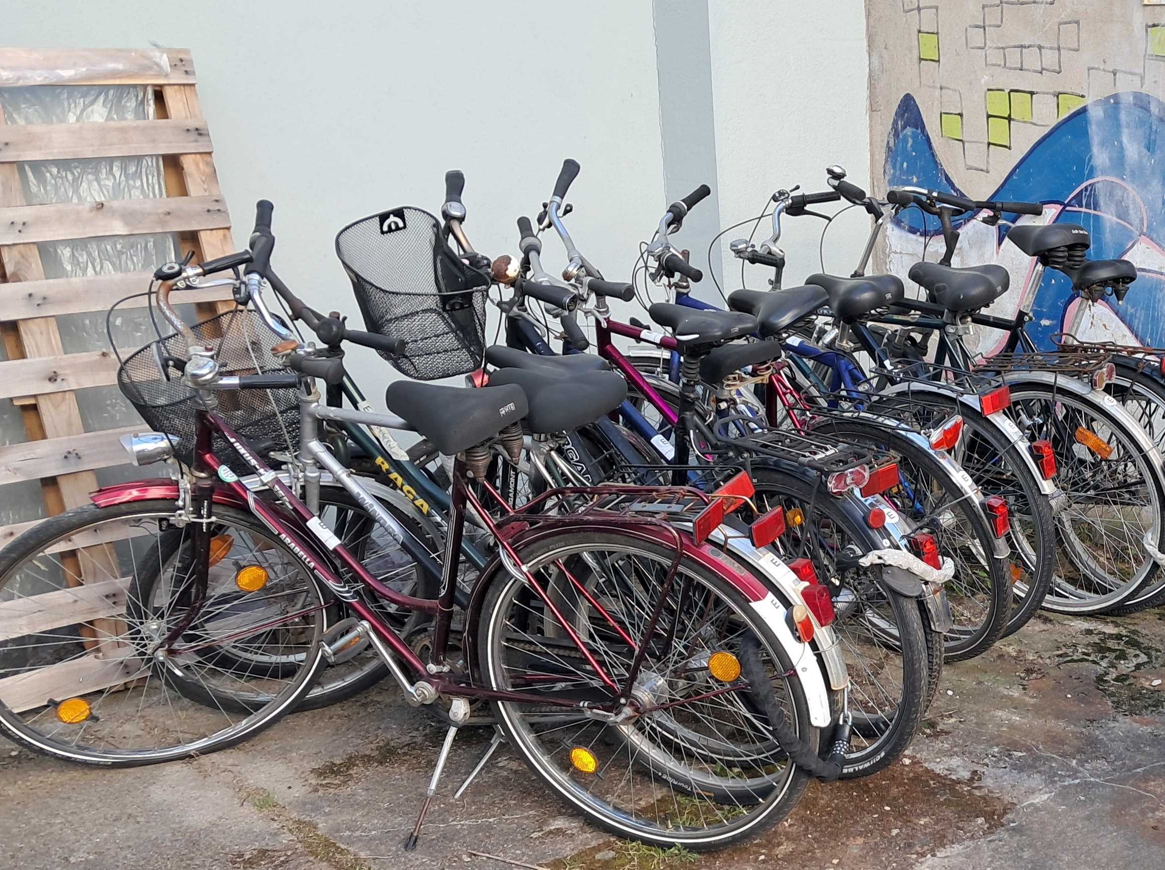 ebk_fahrraeder3.jpg